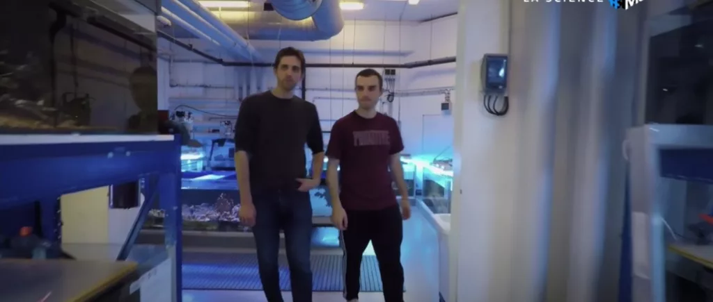 Lancement de la chaîne A LA MAISON